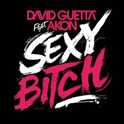 David Guetta & Akon